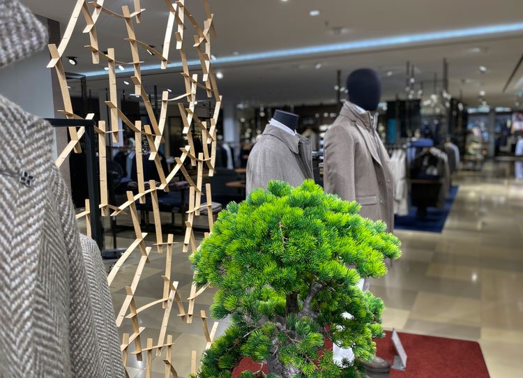 hirmer raumteiler stuktur