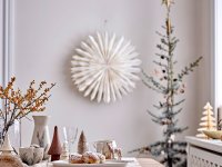 Weihnachtsstern PAX