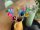 UPCYCLING BLUMEN